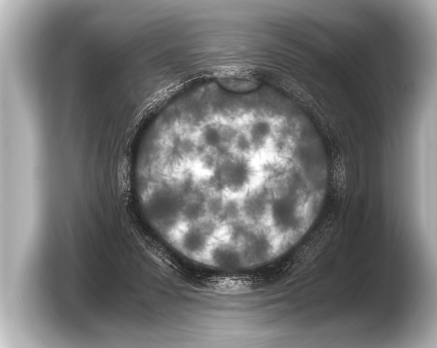 X0000103430303200810031356