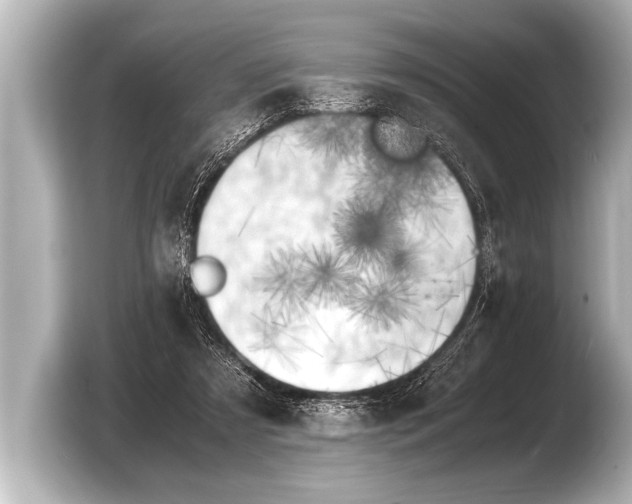 X0000103430305200810031356