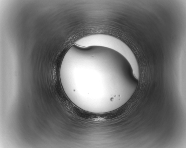 X0000103430312200810031356