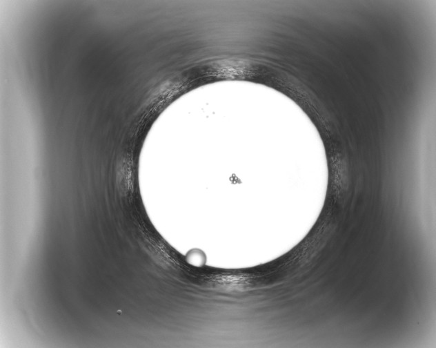 X0000103430313200810031356