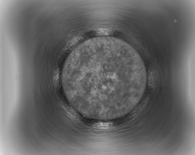 X0000103430314200810031356