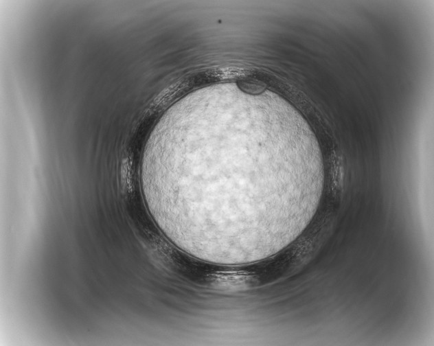 X0000103430316200810031356