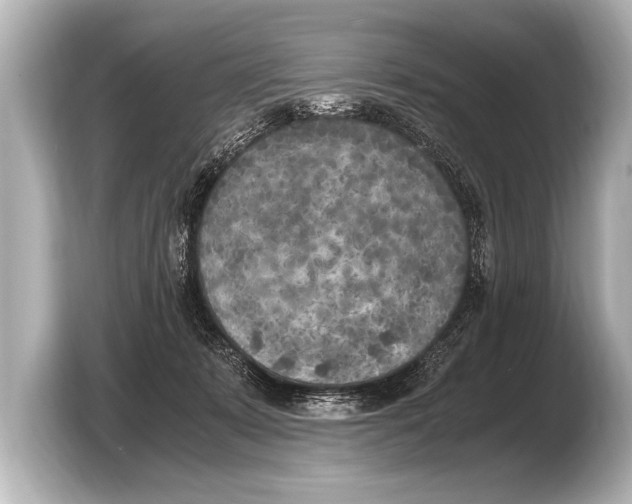 X0000103430319200810031356