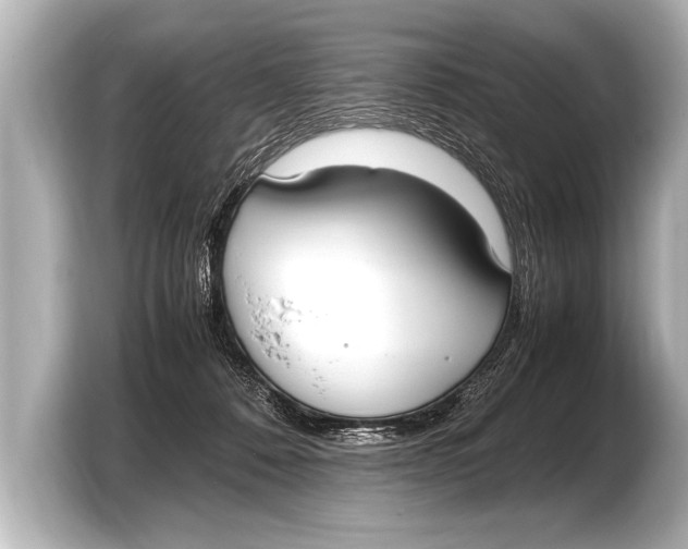 X0000103430320200810031356