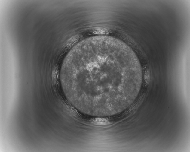 X0000103430322200810031356