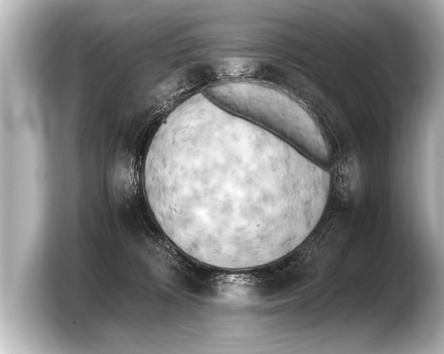 X0000103430324200810031356