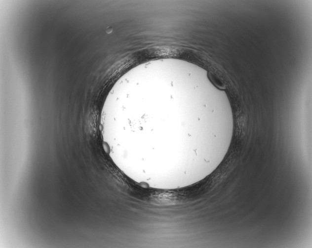 X0000103430325200810031356