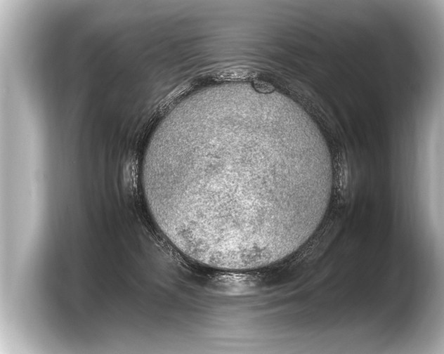 X0000103430326200810031356