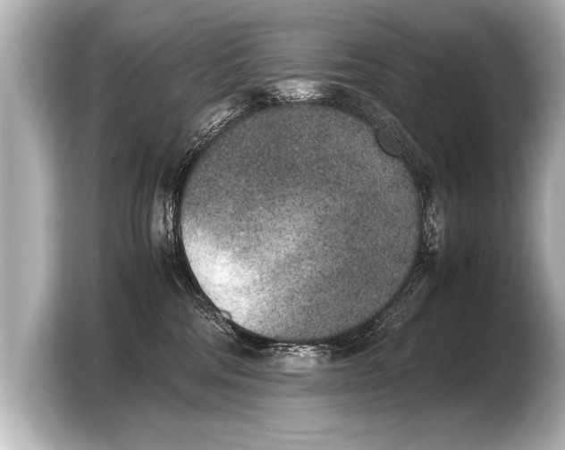 X0000103430330200810031356