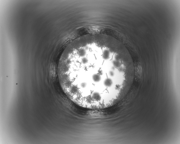 X0000103430331200810031356