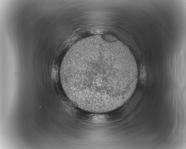 X0000103430332200810031356