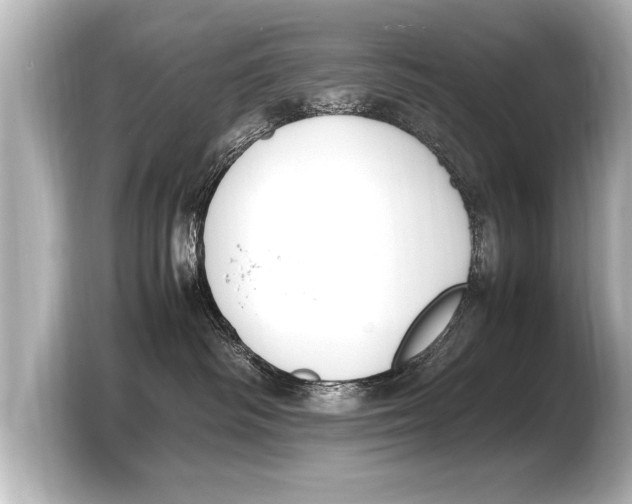 X0000103430334200810031356