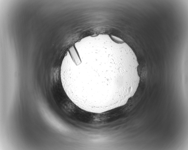 X0000103430335200810031356