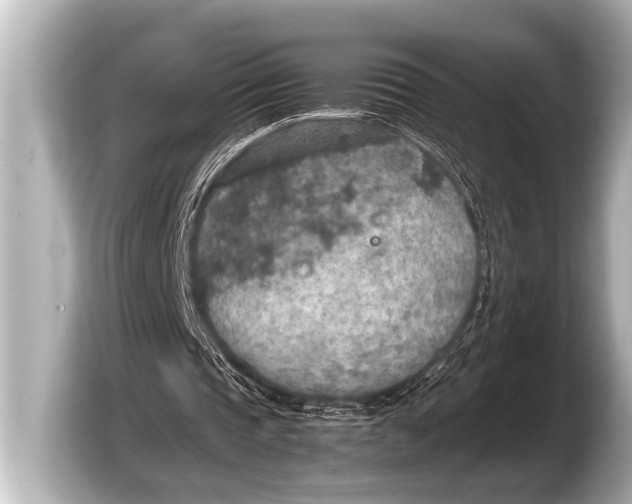 X0000103430337200810031355