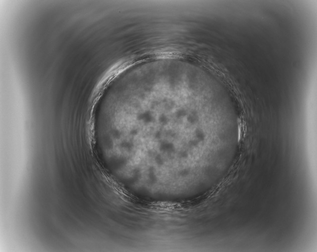 X0000103430339200810031355