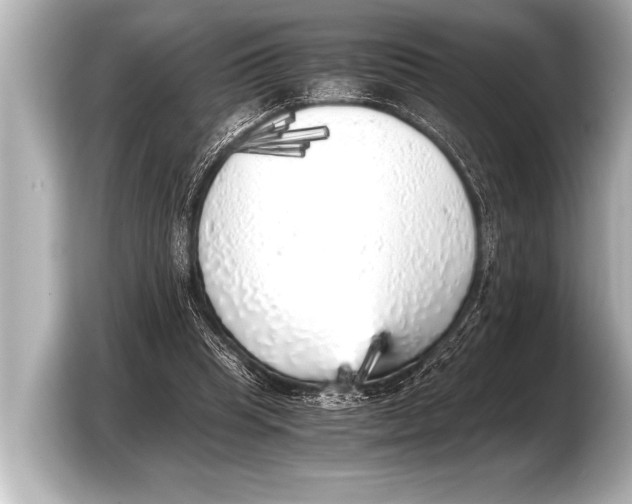 X0000103430345200810031355