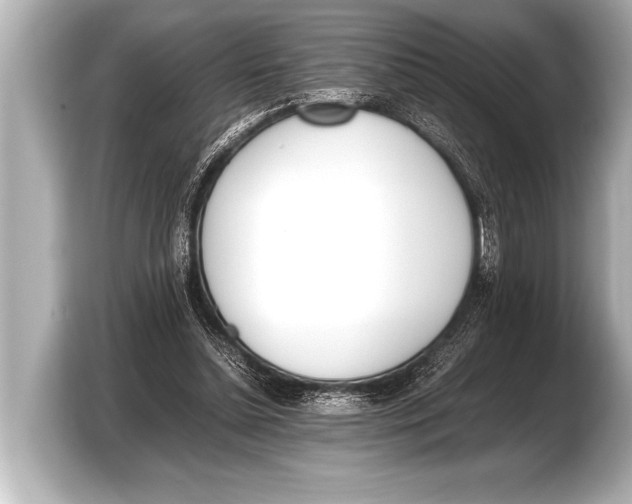 X0000103430348200810031355