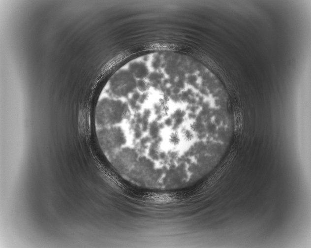 X0000103430349200810031355