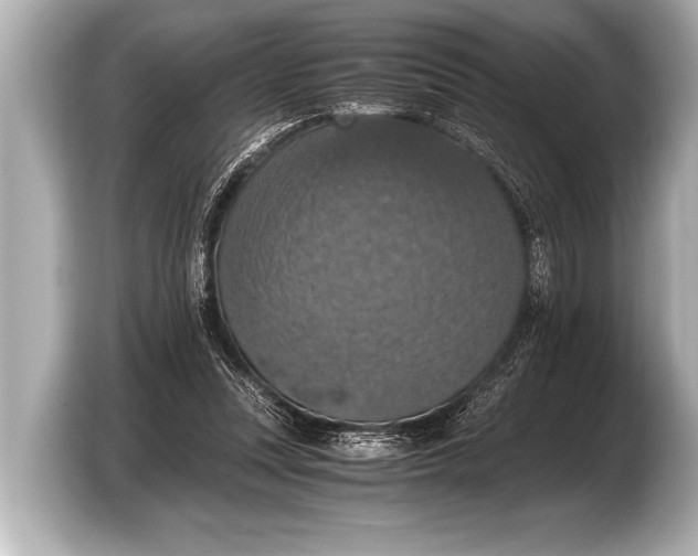 X0000103430351200810031355