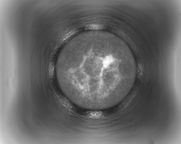 X0000103430355200810031355