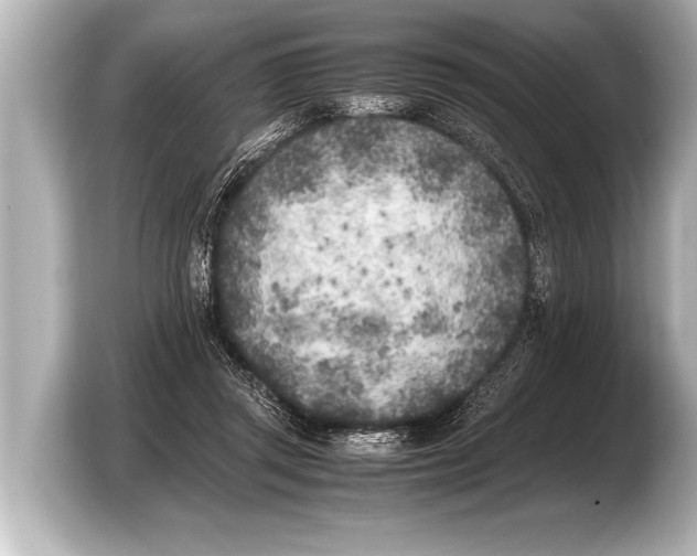 X0000103430357200810031355