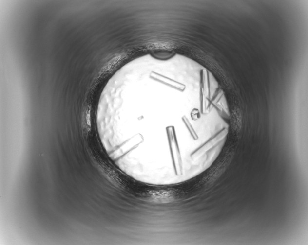 X0000103430358200810031355