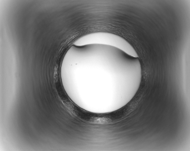 X0000103430360200810031355