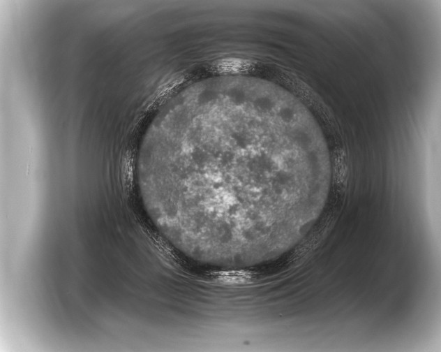 X0000103430363200810031355