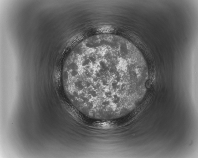 X0000103430365200810031355