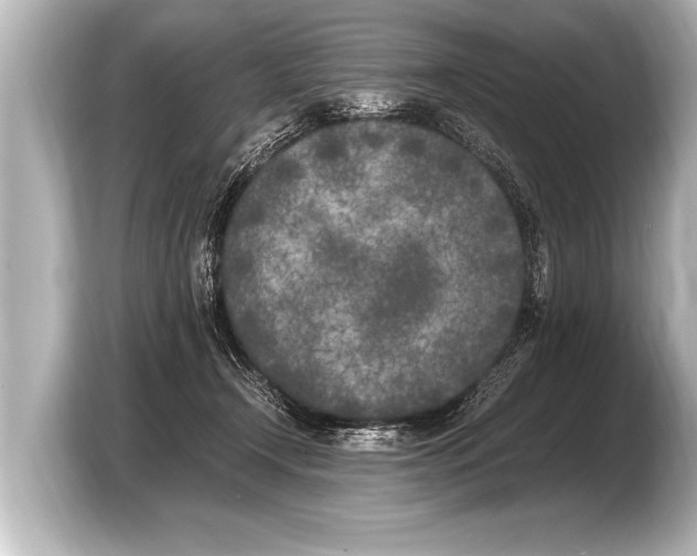 X0000103430366200810031355