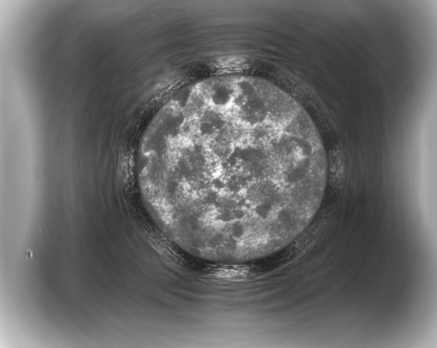 X0000103430369200810031356