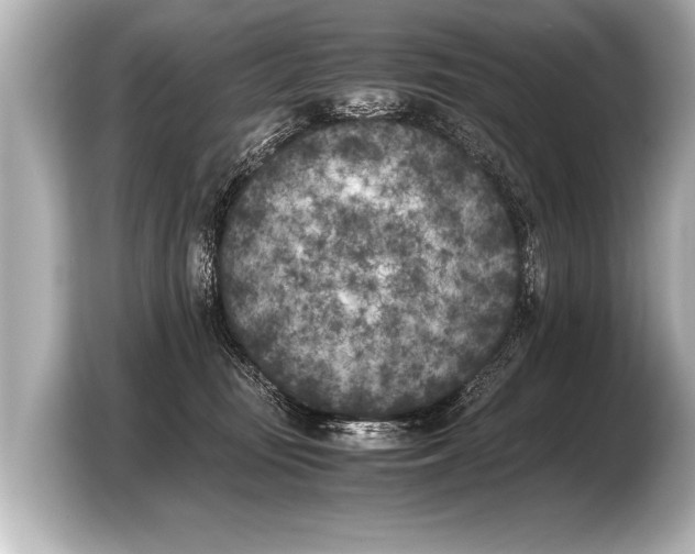 X0000103430371200810031356