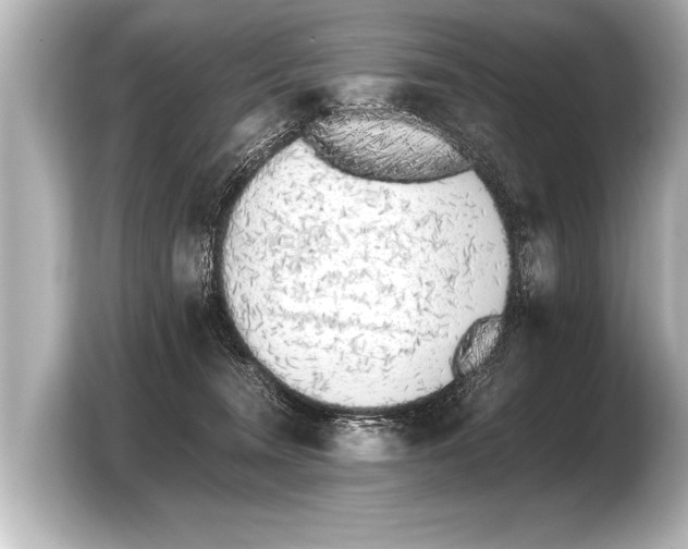 X0000103430372200810031356