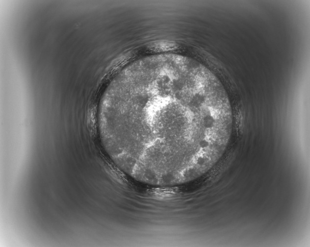 X0000103430373200810031356