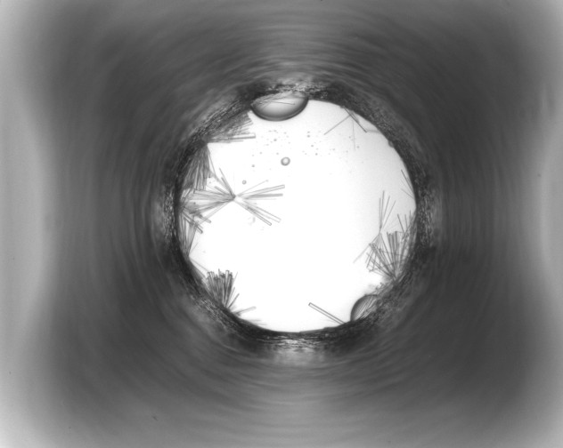 X0000103430376200810031356