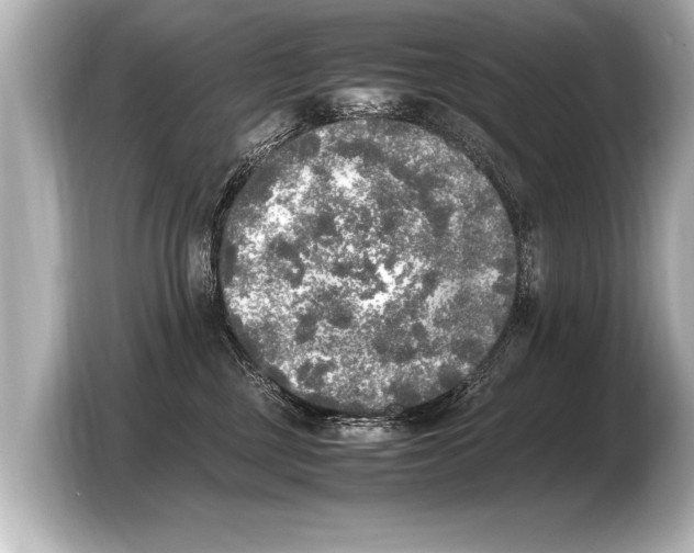 X0000103430377200810031356