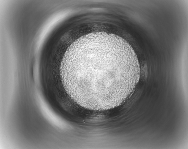 X0000103430381200810031356