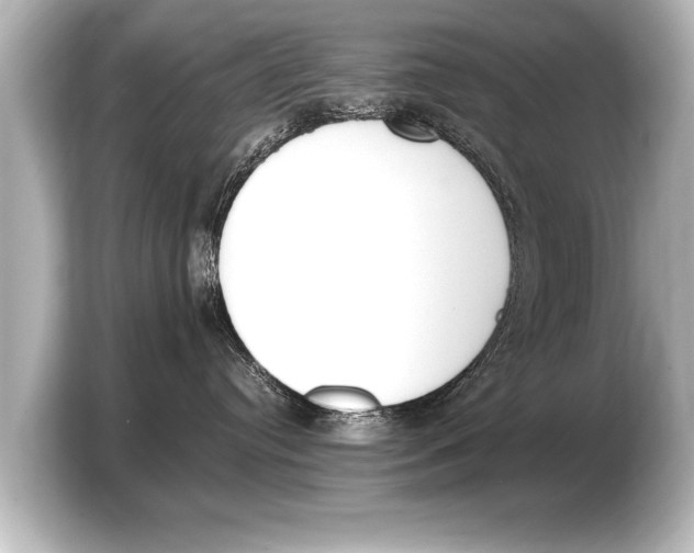 X0000103430384200810031356