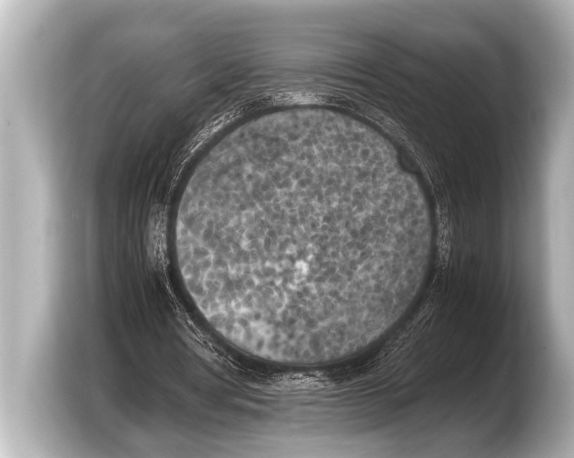 X0000103430386200810031355