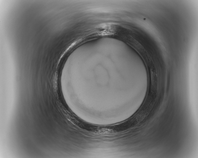 X0000103430387200810031355