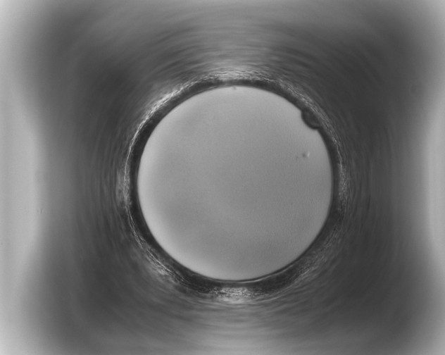 X0000103430391200810031355