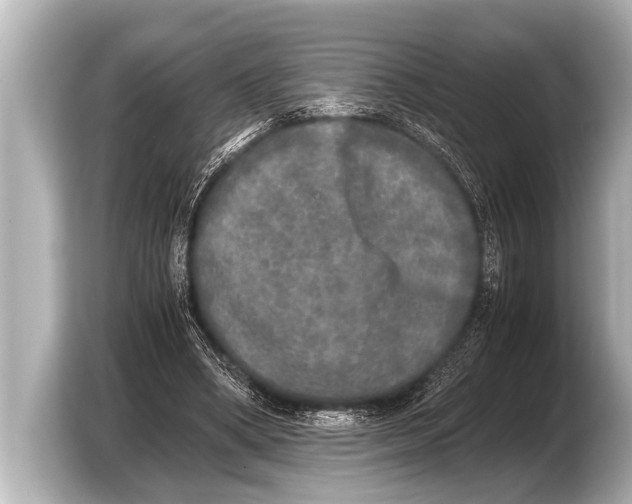 X0000103430394200810031355