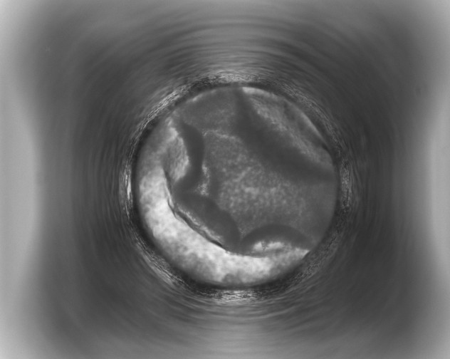 X0000103430398200810031355