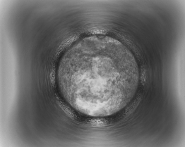 X0000103430402200810031355