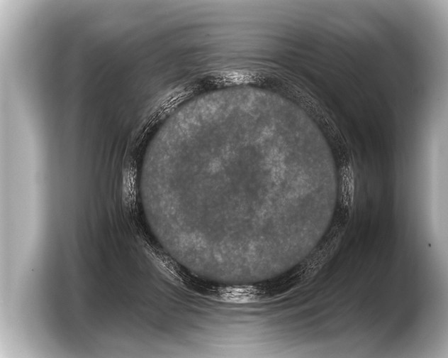 X0000103430410200810031355