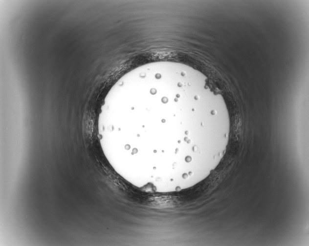 X0000103430417200810031355