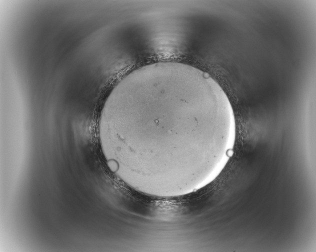 X0000103430419200810031355