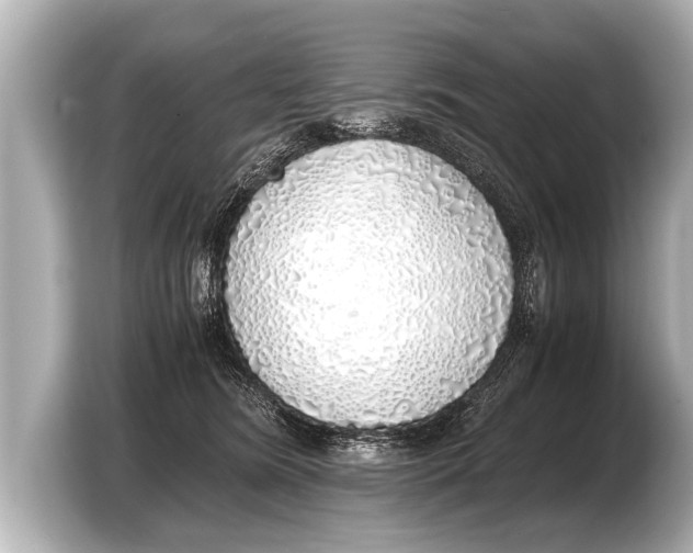 X0000103430420200810031355