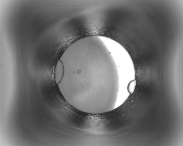 X0000103430423200810031355