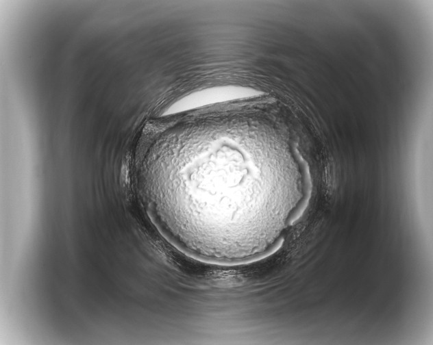 X0000103430424200810031355